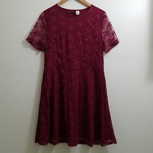 {H&M} Lace Skater Dress
